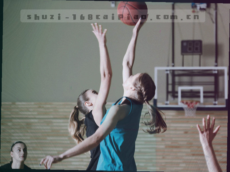 V4版本内容目录层级图，标出价格表所在位置